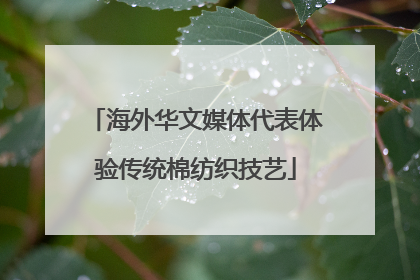 海外华文媒体代表体验传统棉纺织技艺