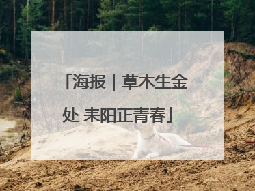 海报｜草木生金处 耒阳正青春