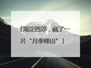 海淀西郊，藏了一片“月季梯田”
