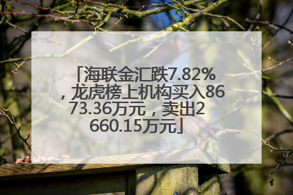 海联金汇跌7.82%，龙虎榜上机构买入8673.36万元，卖出2660.15万元