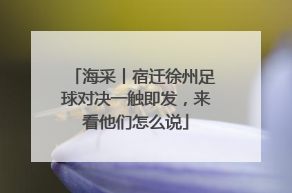 海采丨宿迁徐州足球对决一触即发，来看他们怎么说