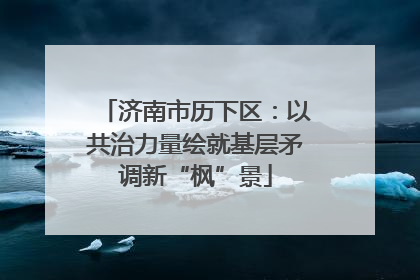 济南市历下区：以共治力量绘就基层矛调新“枫”景