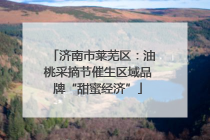 济南市莱芜区：油桃采摘节催生区域品牌“甜蜜经济”