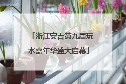 浙江安吉第九届玩水嘉年华盛大启幕