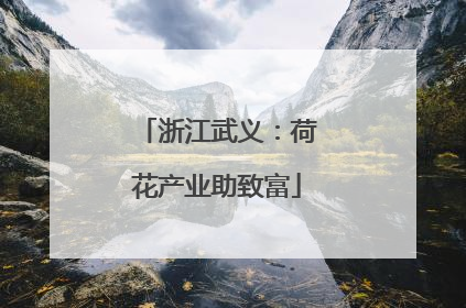 浙江武义：荷花产业助致富