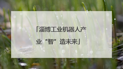 淄博工业机器人产业“智”造未来