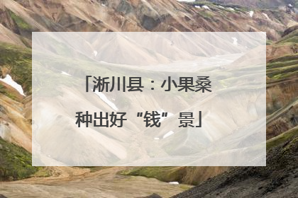 淅川县：小果桑种出好“钱”景