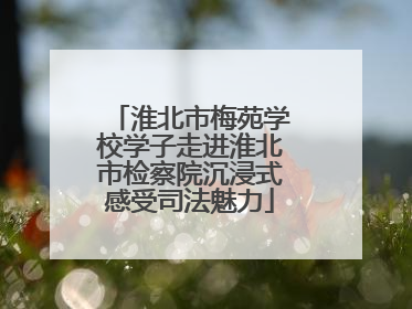 淮北市梅苑学校学子走进淮北市检察院沉浸式感受司法魅力