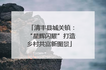 清丰县城关镇：“星辉闪耀”打造乡村共富新图景
