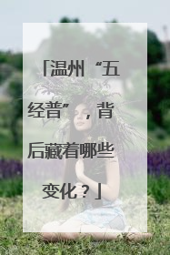 温州“五经普”，背后藏着哪些变化？