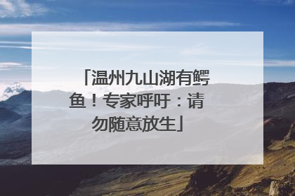温州九山湖有鳄鱼！专家呼吁：请勿随意放生