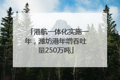 港航一体化实施一年，潍坊港年增吞吐量250万吨