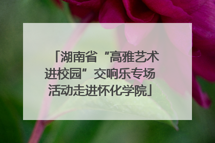 湖南省“高雅艺术进校园”交响乐专场活动走进怀化学院