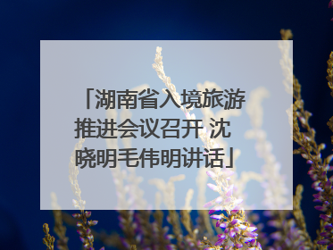 湖南省入境旅游推进会议召开 沈晓明毛伟明讲话