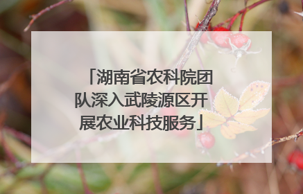 湖南省农科院团队深入武陵源区开展农业科技服务