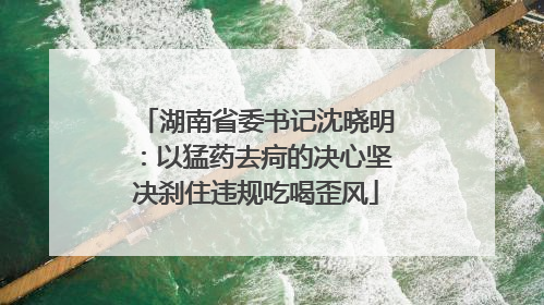 湖南省委书记沈晓明：以猛药去疴的决心坚决刹住违规吃喝歪风