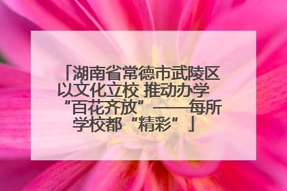 湖南省常德市武陵区以文化立校 推动办学“百花齐放”——每所学校都“精彩”