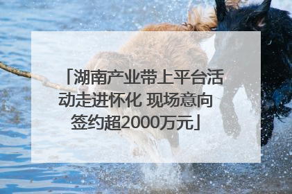 湖南产业带上平台活动走进怀化 现场意向签约超2000万元