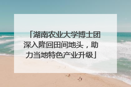 湖南农业大学博士团深入隆回田间地头，助力当地特色产业升级