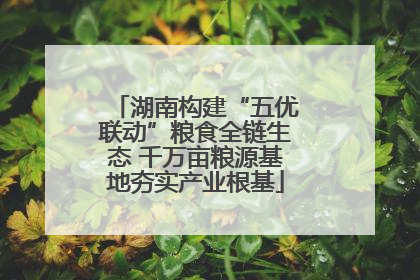湖南构建“五优联动”粮食全链生态 千万亩粮源基地夯实产业根基