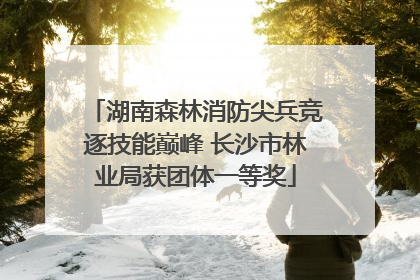 湖南森林消防尖兵竞逐技能巅峰 长沙市林业局获团体一等奖