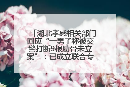 湖北孝感相关部门回应“一男子称被交警打断9根肋骨未立案”：已成立联合专班开展工作