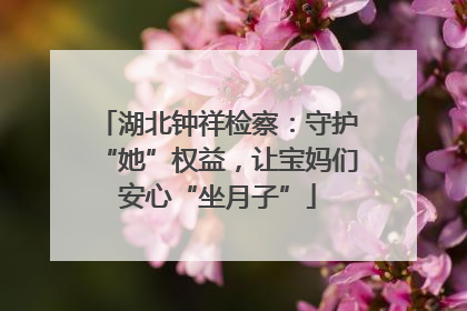 湖北钟祥检察：守护“她”权益，让宝妈们安心“坐月子”