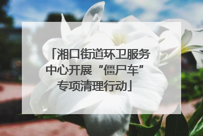 湘口街道环卫服务中心开展“僵尸车”专项清理行动
