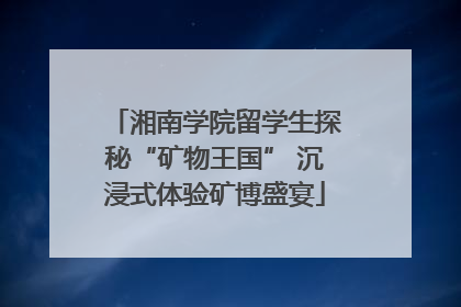 湘南学院留学生探秘“矿物王国” 沉浸式体验矿博盛宴