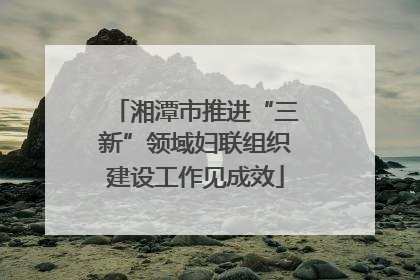 湘潭市推进“三新”领域妇联组织建设工作见成效