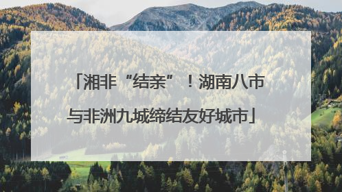 湘非“结亲”！湖南八市与非洲九城缔结友好城市