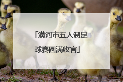 漠河市五人制足球赛圆满收官