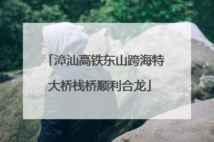 漳汕高铁东山跨海特大桥栈桥顺利合龙