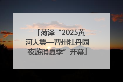 菏泽“2025黄河大集—曹州牡丹园夜游消夏季”开幕