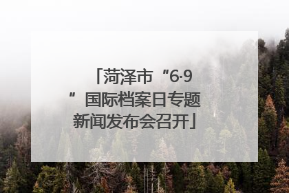 菏泽市“6·9”国际档案日专题新闻发布会召开
