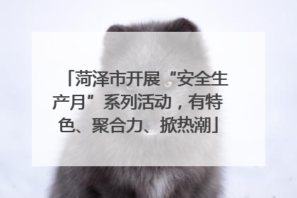 菏泽市开展“安全生产月”系列活动，有特色、聚合力、掀热潮