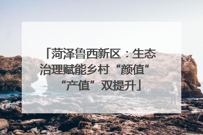 菏泽鲁西新区：生态治理赋能乡村“颜值”“产值”双提升
