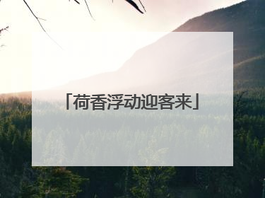 荷香浮动迎客来