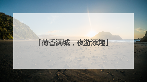 荷香满城，夜游添趣