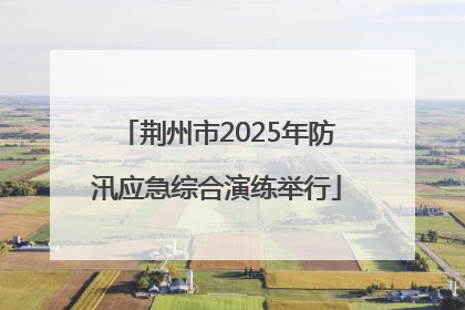 荆州市2025年防汛应急综合演练举行