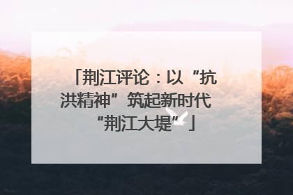 荆江评论：以“抗洪精神”筑起新时代“荆江大堤”