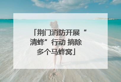 荆门消防开展“清蜂”行动 摘除多个马蜂窝