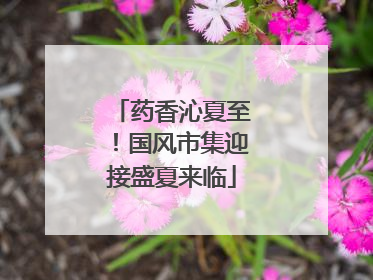 药香沁夏至！国风市集迎接盛夏来临