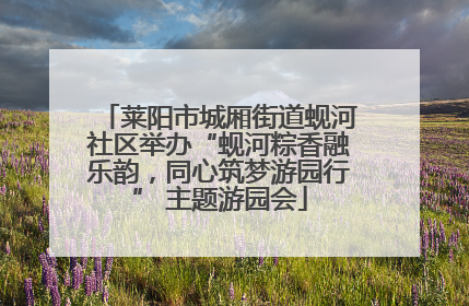 莱阳市城厢街道蚬河社区举办“蚬河粽香融乐韵，同心筑梦游园行” 主题游园会