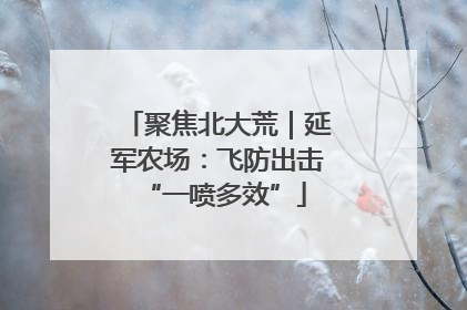 聚焦北大荒｜延军农场：飞防出击 “一喷多效”
