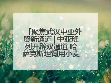 聚焦武汉中亚外贸新通道│中亚班列开辟双通道 哈萨克斯坦饲用小麦将抵鄂