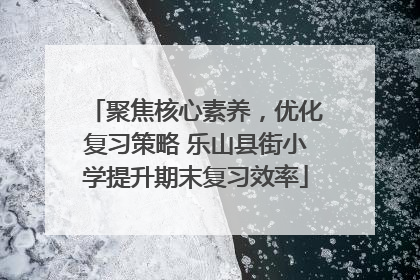 聚焦核心素养，优化复习策略 乐山县街小学提升期末复习效率