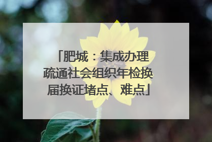 肥城：集成办理 疏通社会组织年检换届换证堵点、难点