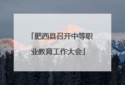 肥西县召开中等职业教育工作大会
