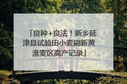 良种+良法！新乡延津县试验田小麦刷新黄淮麦区高产记录